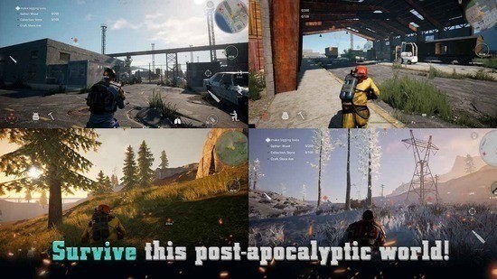 代号PZ（projectz）国际版