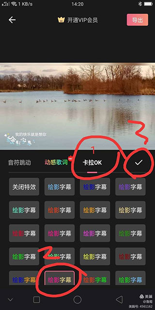 绘影字幕大字版