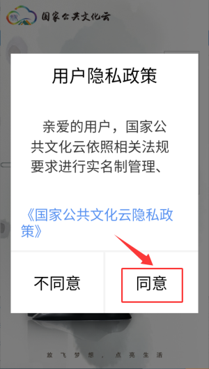 国家公共文化云
