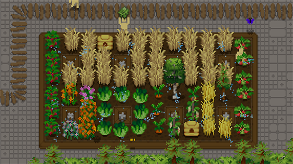 小小露台手机版