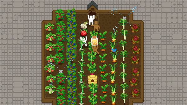 小小露台手机版