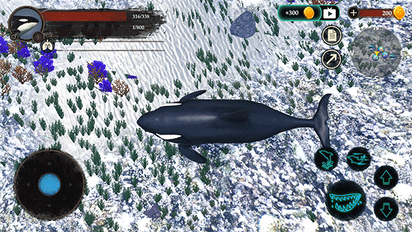 虎鲸模拟器(The Killer Whale)中文版