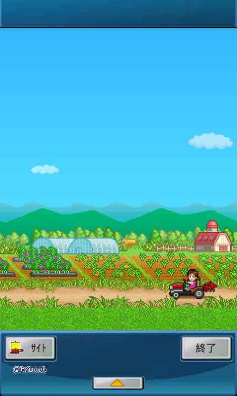 大空庄园汉化无限版