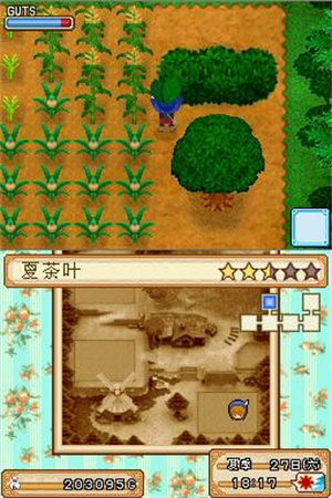 牧场物语风之集市最终版