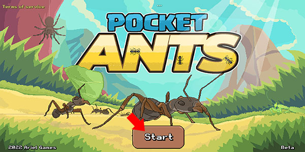 口袋蚂蚁模拟器(Pocket Ants)中文版