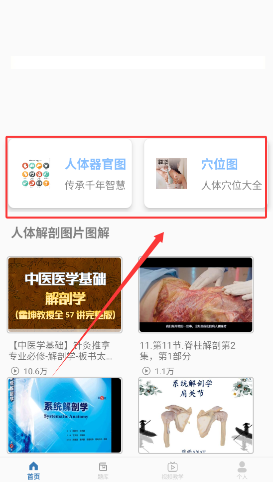 解剖图谱APP