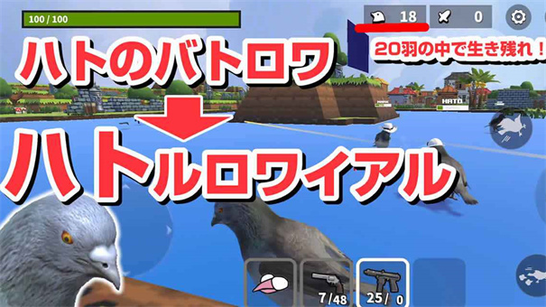 鸽子大逃杀官方版