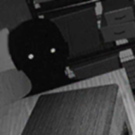 寻找伪人全结局完整版