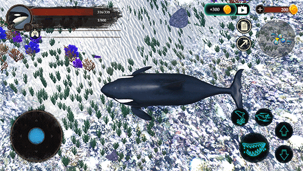 虎鲸模拟器(The Killer Whale)手游修改版