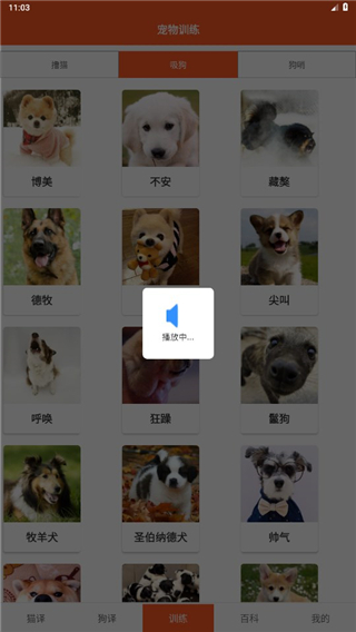 萌趣猫狗翻译器