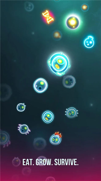 细菌大作战(Bacter.io Evolution)作弊版