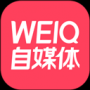 weiq自媒体
