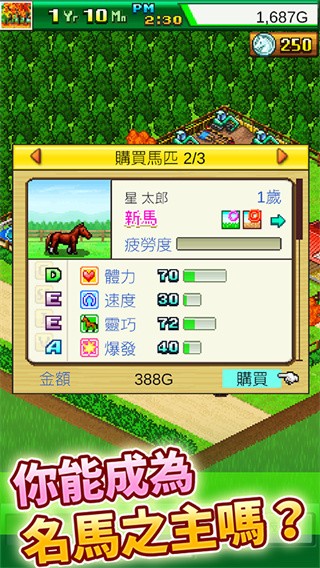 赛马牧场物语最新版