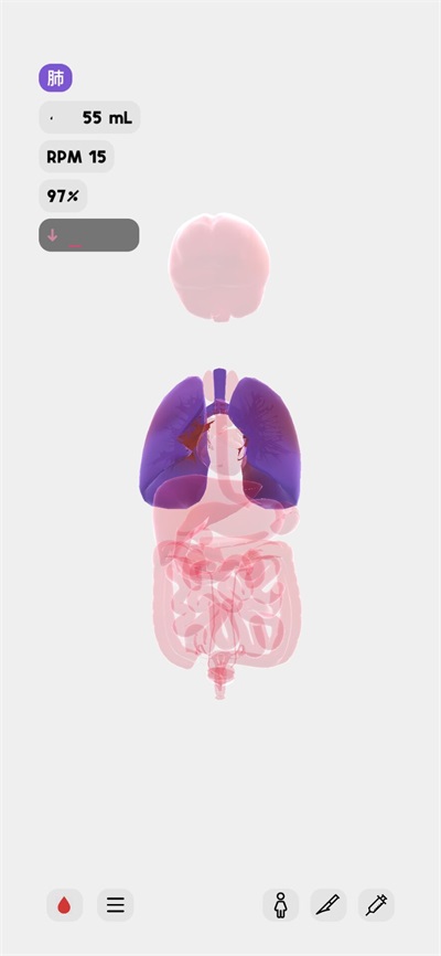 生命life最新内购版