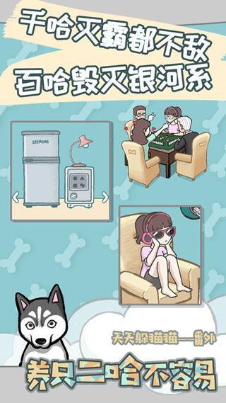 养只二哈不容易最新版