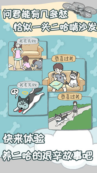 养只二哈不容易最新版