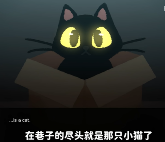 别带这只猫回家官方版