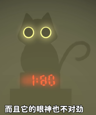 别带这只猫回家官方版