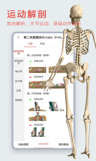3Dbody人体解剖学