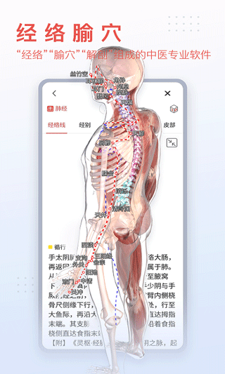 3Dbody人体解剖学