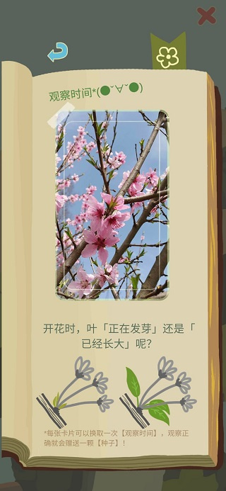 老农种树手机版