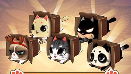 盒子里的猫(Kitty in the Box)中文版
