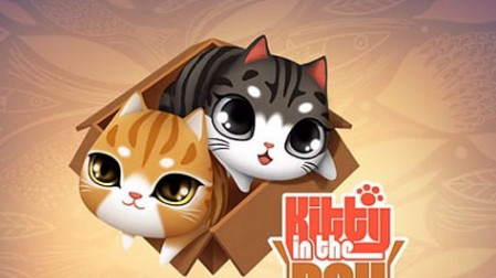 盒子里的猫(Kitty in the Box)中文版