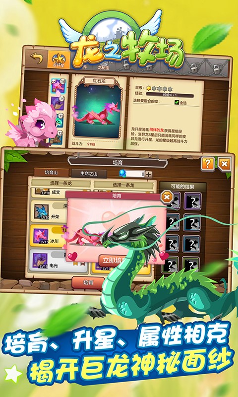 育龙高手最新版