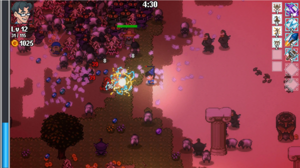 呆子幸存者中文版