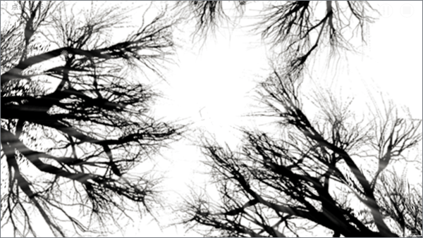 故事里的秘密手机版