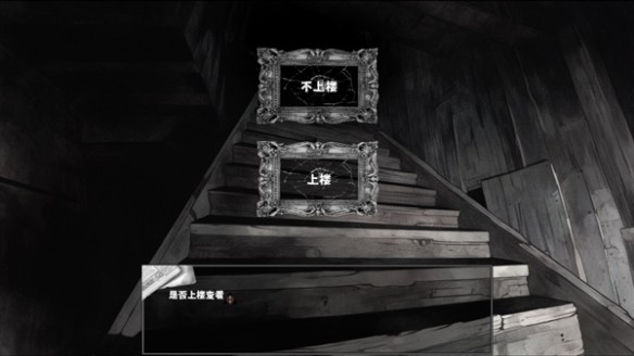 啮齿动物No44观察记录手机版