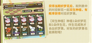 织梦森林官方版