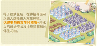 织梦森林官方版