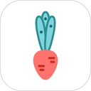 柠檬点点手机版