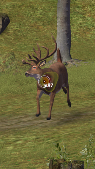 狩猎狙击手中文版