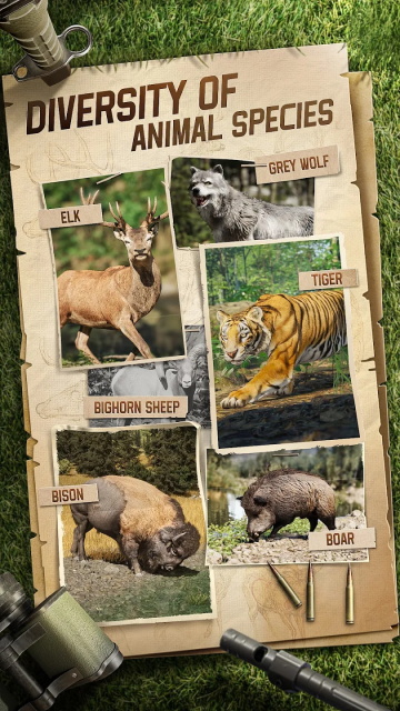 狩猎狙击手中文版