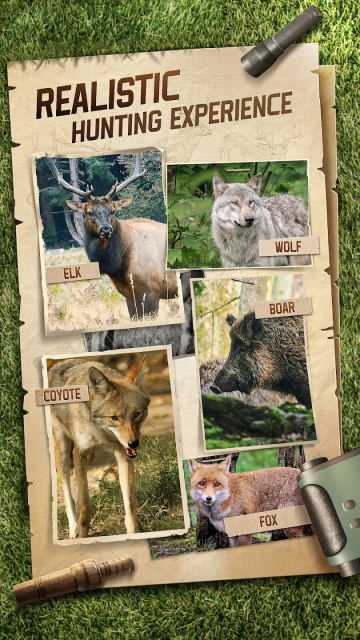 狩猎狙击手中文版