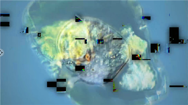 孢子模拟器(Bionix)汉化版