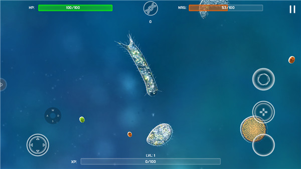 孢子模拟器(Bionix)汉化版