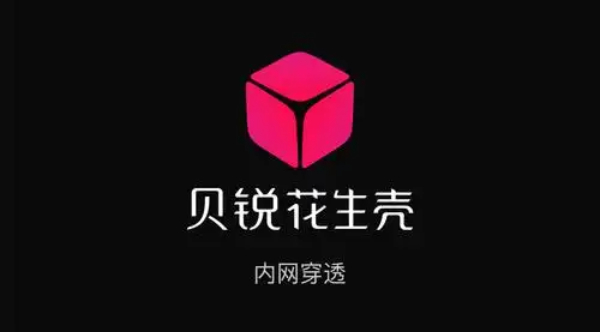 花生壳软件版本大全-花生壳软件版本合集-花生壳软件下载