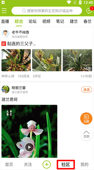 中国兰花交易网