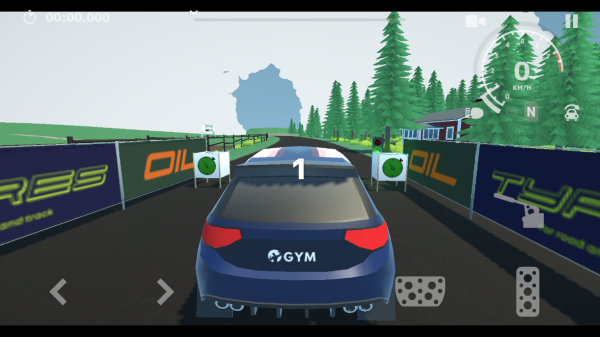 N3拉力赛(N3Rally)中文版