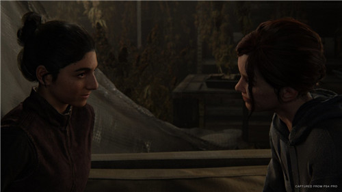 最后生还者重置版三十一项修改器