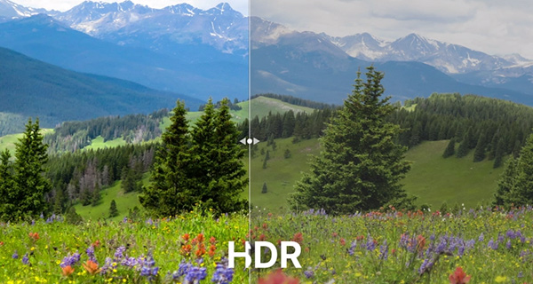 BandiView官方正版