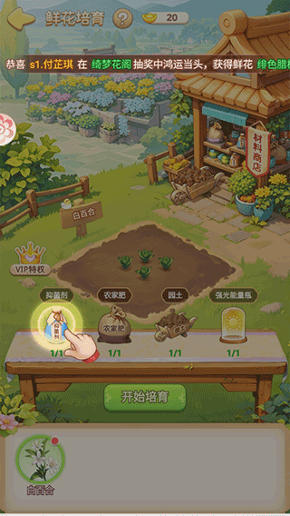 我的花园世界官方版