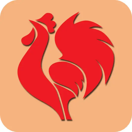 海南大公鸡七星彩app安卓版