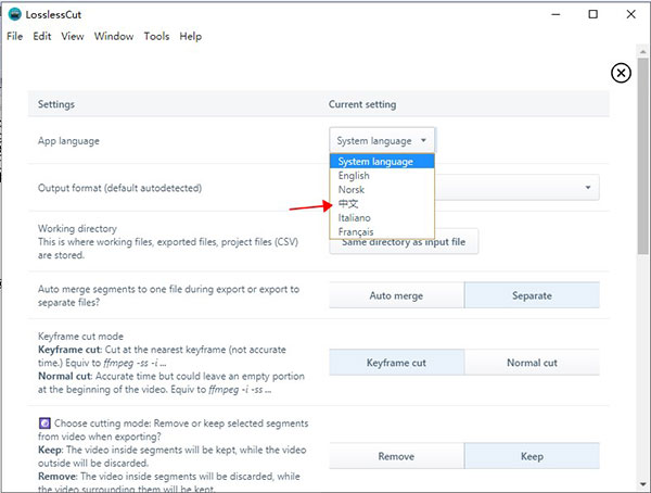 Losslesscut电脑版