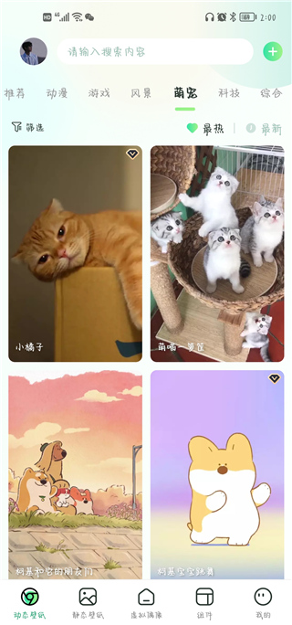 飞火动态壁纸app