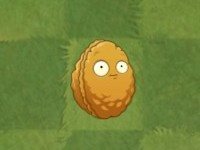 植物大战僵尸2官方正版