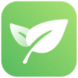 新榜小豆芽 v4.1.17电脑版